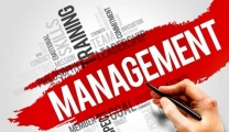 Human factors in management that a manager needs to know