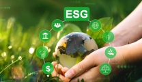 What is corporate sustainability? 5 steps to help companies implement ESG