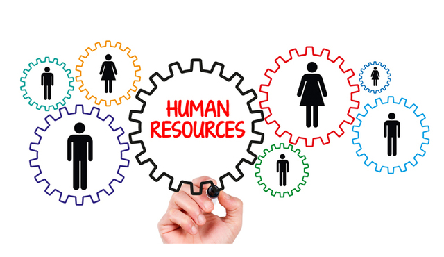 Human resource management experience from leading experts