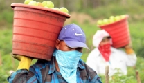 Are you hiring migrant farm workers? Then notice these things!