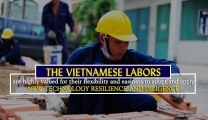 越南建筑工人出口到中东：所有职位的平均劳动生产率