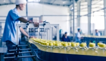 Is Applying ERP for Food Industry really Necessary?
