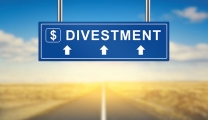 What is divestment? Causes and examples of divestment