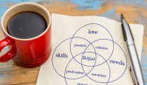 What IKIGAI means for the Japanese: a personal reflection