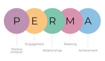 Positive Psychology Explained: Using the PERMA Model for Building a Positive Workplace
