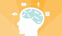 Cognitive Flexibility – The Adaptive Advantage Every Leader Needs