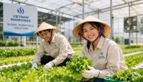 How Vietnamese Workers Are Powering Workforce Solutions for Global Industries