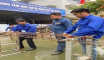 Vietnam Expands Preferential Loan Access to Support High-Quality Workforce for Overseas Employment