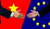 EVFTA Drives Demand for Skilled and Semi-Skilled Labor from Vietnam