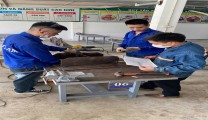 Vietnam Manpower Strengthens Workforce Training for Global Employers