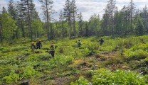 Vietnamese Workers Safely Arrive and Settle in Finland for Forestry Jobs with Vietnam Manpower’s Trusted Finnish Partner