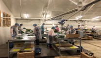 Vietnam Manpower Continues To Affirm Its Position In The Russian Labor Market As Our Workers Successfully Receive Russian Work Visas