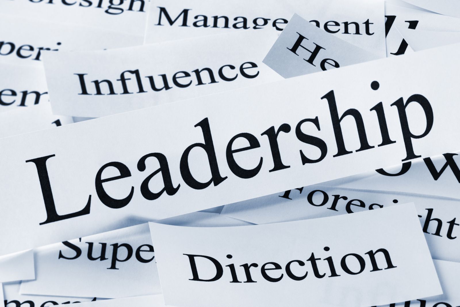 Leadership: How To Bring Out The Best In People