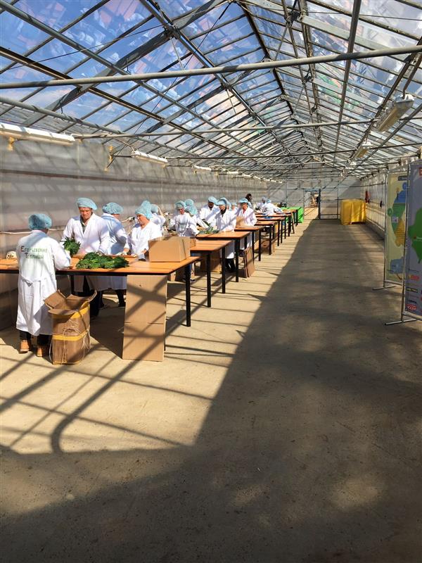 Vietnam Manpower Expands Cooperation to Supply Workforce for High-Tech Agriculture Projects in Russia