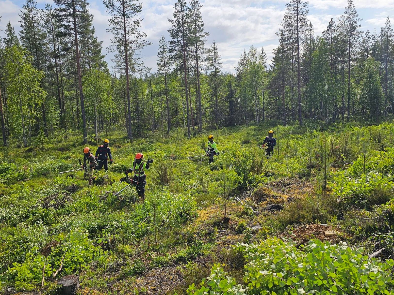 Vietnamese Workers Safely Arrive and Settle in Finland for Forestry Jobs with Vietnam Manpower’s Trusted Finnish Partner