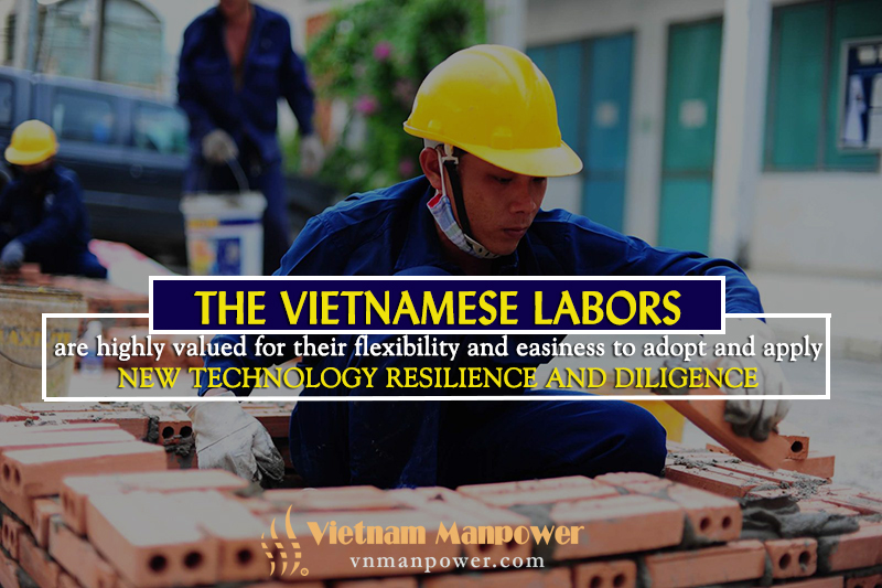 Vietnamese-labor