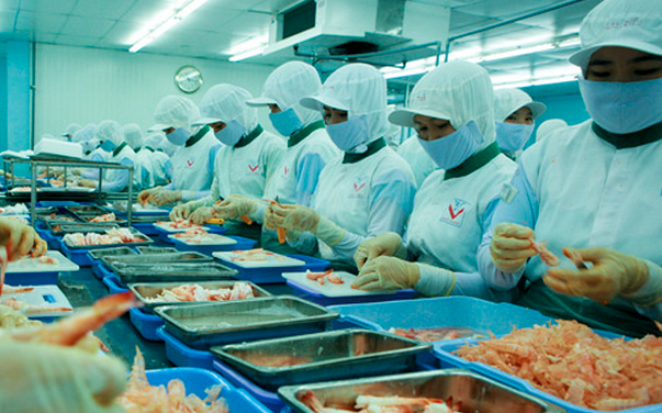 vietnam-food-processing-worker